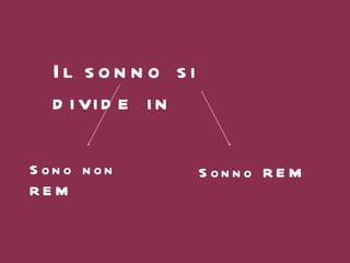 Il sonno si divide in   Sonno REM Sono non REM 