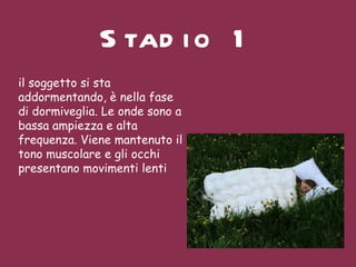 Stadio 1 il soggetto si sta addormentando, è nella fase di dormiveglia. Le onde sono a bassa ampiezza e alta frequenza. Viene mantenuto il tono muscolare e gli occhi presentano movimenti lenti  