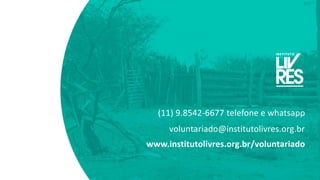 (11) 9.8542-6677 telefone e whatsapp
voluntariado@institutolivres.org.br
www.institutolivres.org.br/voluntariado
 