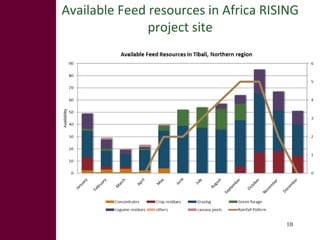 Feed the future innovation lab for small-scale irrigation in Ghana: Opportunities and challenges to integrate fodder