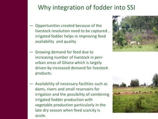 Feed the future innovation lab for small-scale irrigation in Ghana: Opportunities and challenges to integrate fodder