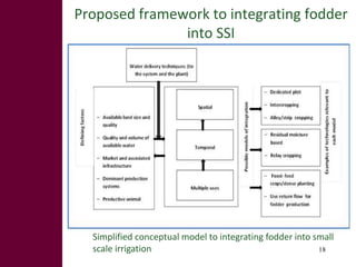 Feed the future innovation lab for small-scale irrigation in Ghana: Opportunities and challenges to integrate fodder