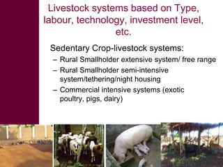 Feed the future innovation lab for small-scale irrigation in Ghana: Opportunities and challenges to integrate fodder