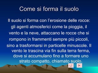 Come si forma il suolo Il suolo si forma con l’erosione delle rocce: gli agenti atmosferici come la pioggia, il vento e la neve, attaccano le rocce che si rompono in frammenti sempre più piccoli, sino a trasformarsi in particelle minuscole. Il vento le trascina via fin sulla terra ferma, dove si accumulano fino a formare uno strato compatto, chiamato suolo. 1 