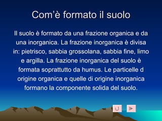 Com’è formato il suolo Il suolo è formato da una frazione organica e da una inorganica. La frazione inorganica è divisa in: pietrisco, sabbia grossolana, sabbia fine, limo e argilla. La frazione inorganica del suolo è formata soprattutto da humus. Le particelle d origine organica e quelle di origine inorganica formano la componente solida del suolo. 1 
