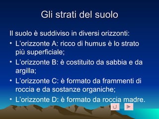 Gli strati del suolo Il suolo è suddiviso in diversi orizzonti: L’orizzonte A: ricco di humus è lo strato più superficiale; L’orizzonte B: è costituito da sabbia e da argilla; L’orizzonte C: è formato da frammenti di roccia e da sostanze organiche; L’orizzonte D: è formato da roccia madre. 1 