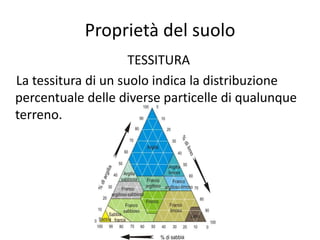 Proprietà del suolo
TESSITURA
La tessitura di un suolo indica la distribuzione
percentuale delle diverse particelle di qualunque
terreno.
 