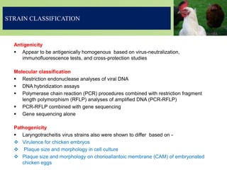 STRAIN CLASSIFICATION
Antigenicity
 Appear to be antigenically homogenous based on virus-neutralization,
immunofluorescence tests, and cross-protection studies
Molecular classification
 Restriction endonuclease analyses of viral DNA
 DNA hybridization assays
 Polymerase chain reaction (PCR) procedures combined with restriction fragment
length polymorphism (RFLP) analyses of amplified DNA (PCR-RFLP)
 PCR-RFLP combined with gene sequencing
 Gene sequencing alone
Pathogenicity
 Laryngotracheitis virus strains also were shown to differ based on -
 Virulence for chicken embryos
 Plaque size and morphology in cell culture
 Plaque size and morphology on chorioallantoic membrane (CAM) of embryonated
chicken eggs
 