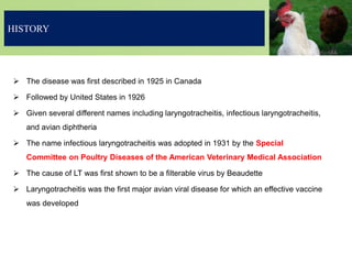 HISTORY
 The disease was first described in 1925 in Canada
 Followed by United States in 1926
 Given several different names including laryngotracheitis, infectious laryngotracheitis,
and avian diphtheria
 The name infectious laryngotracheitis was adopted in 1931 by the Special
Committee on Poultry Diseases of the American Veterinary Medical Association
 The cause of LT was first shown to be a filterable virus by Beaudette
 Laryngotracheitis was the first major avian viral disease for which an effective vaccine
was developed
 
