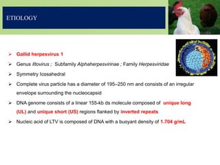 ETIOLOGY
 Gallid herpesvirus 1
 Genus Iltovirus ; Subfamily Alphaherpesvirinae ; Family Herpesviridae
 Symmetry Icosahedral
 Complete virus particle has a diameter of 195–250 nm and consists of an irregular
envelope surrounding the nucleocapsid
 DNA genome consists of a linear 155-kb ds molecule composed of unique long
(UL) and unique short (US) regions flanked by inverted repeats
 Nucleic acid of LTV is composed of DNA with a buoyant density of 1.704 g/mL
 