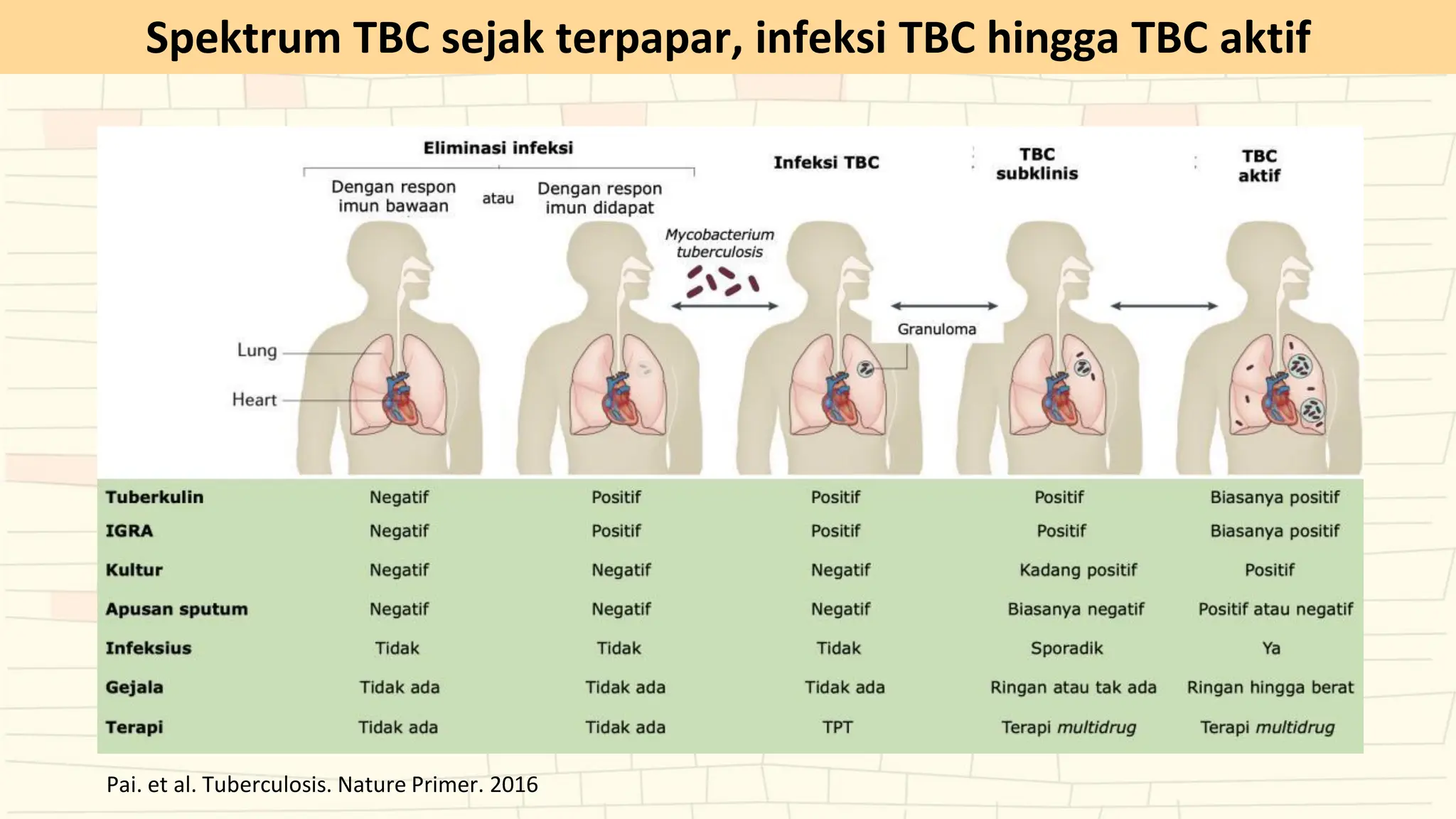 Spektrum TBC sejak terpapar, infeksi TBC hingga TBC aktif
Pai. et al. Tuberculosis. Nature Primer. 2016
 