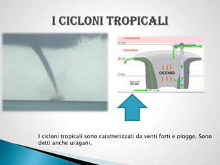 I cicloni tropicali sono caratterizzati da venti forti e piogge. Sono
detti anche uragani.

 