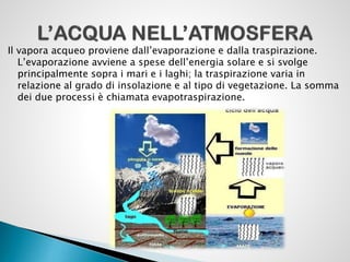 Il vapora acqueo proviene dall’evaporazione e dalla traspirazione.
L’evaporazione avviene a spese dell’energia solare e si svolge
principalmente sopra i mari e i laghi; la traspirazione varia in
relazione al grado di insolazione e al tipo di vegetazione. La somma
dei due processi è chiamata evapotraspirazione.

 