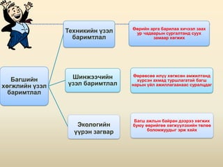 Өөрийн арга барилаа хичээл заах
                Техникийн үзэл    ур чадварын сургалтанд суух
                  баримтлал              замаар хөгжих




                 Шинжээчийн       Өөрөөсөө илүү хөгжсөн амжилтанд
   Багшийн                         хүрсэн ахмад туршлагатай багш
хөгжлийн үзэл   үзэл баримтлал   нарын үйл ажиллагаанаас суралцдаг
  баримтлал



                                 Багш ажлын байран дээрээ хөгжих
                   Экологийн     буюу өөрийгөө хөгжүүлэхийн төлөө
                                       боломжуудыг эрж хайх
                  үүрэн загвар
 