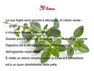 Il timo | PPSX