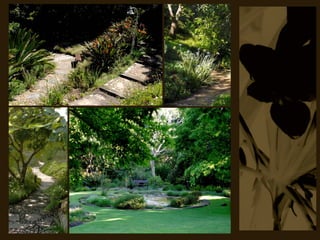 Vineyard Hotel & Spa 2