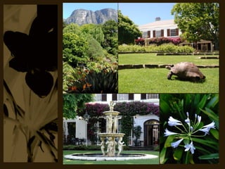 Vineyard Hotel & Spa 2