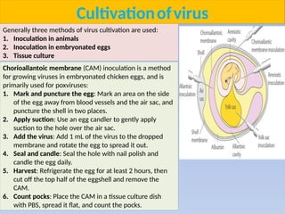 Puncture Inoculation Comprehensive Overview of ILT and Marek’s Disease Viruses in Veterinary ...