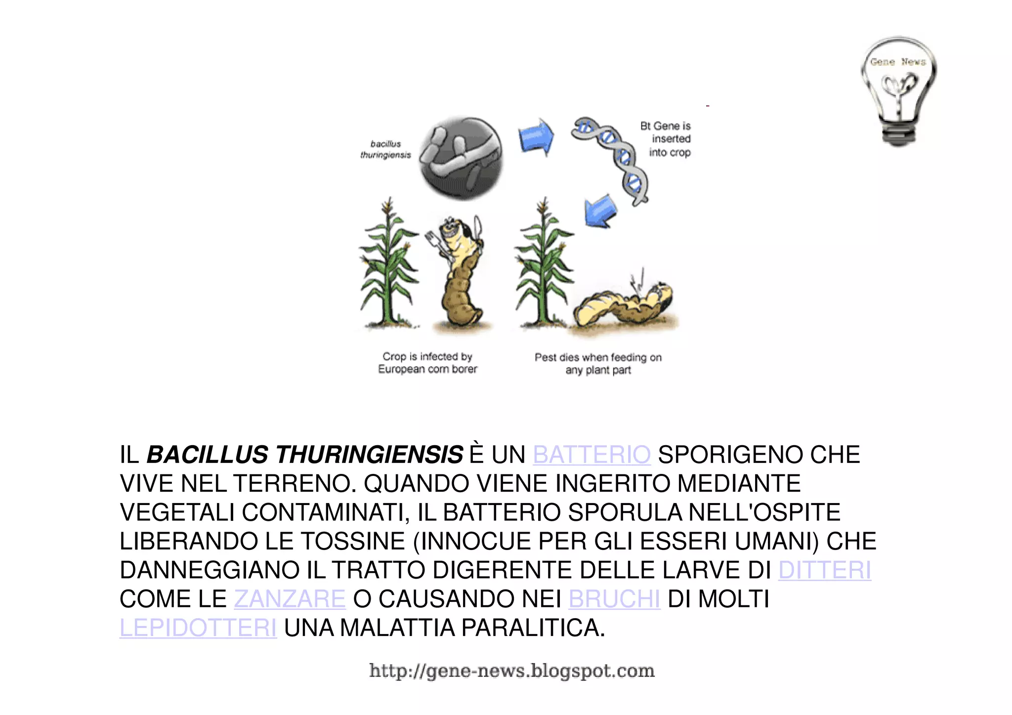 Il trasferimento genico | PPT
