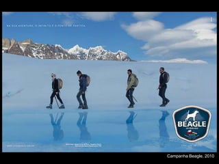 Campanha Beagle, 2010
 