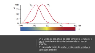 En la visión de día, el ojo es poco sensible a la luz azul y
roja y tiene la sensibilidad máxima en la luz verde-
amarilla.
En cambio la visión de noche, el ojo es más sensible a
color azul-amarillo
 