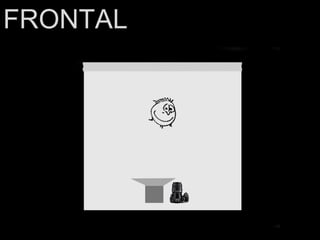FRONTAL 