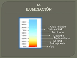 Vela
Salida/puesta
La luna
Mañana/tarde
Mediodía
Sol directo
Cielo cubierto
Cielo nublado
 