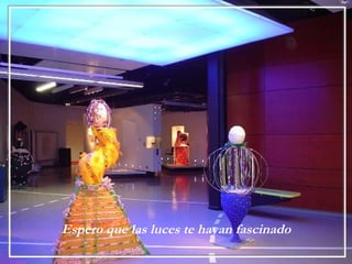 Espero que las luces te hayan fascinado 