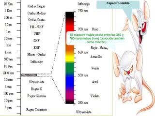 Iluminacion Y Ergonomia