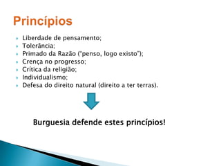 Liberdade de pensamento;Tolerância;Primado da Razão (“penso, logo existo”);Crença no progresso;Crítica da religião;Individualismo;Defesa do direito natural (direito a ter terras).       Burguesia defende estes princípios!Princípios