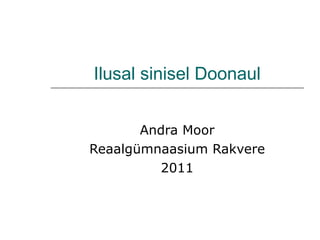 Ilusal sinisel Doonaul Andra Moor Reaalgümnaasium Rakvere 2011 