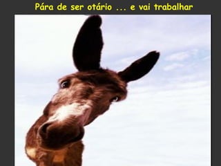 Pára de ser otário ... e vai trabalhar !

 