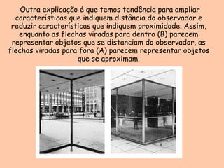 Outra explicação é que temos tendência para ampliar características que indiquem distância do observador e reduzir características que indiquem proximidade. Assim, enquanto as flechas viradas para dentro (B) parecem representar objetos que se distanciam do observador, as flechas viradas para fora (A) parecem representar objetos que se aproximam.