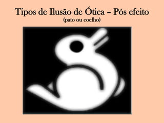 Tipos de Ilusão de Ótica – Pós efeito(pato ou coelho)