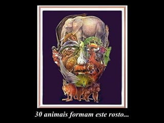 30 animais formam este rosto... 