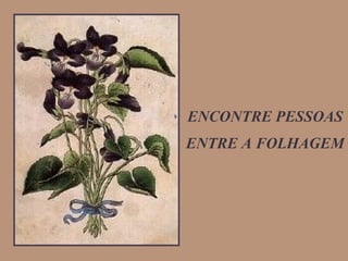 ENCONTRE PESSOAS ENTRE A FOLHAGEM 