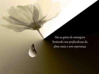 São as gotas de amargura
brotando nas profundezas da
alma vazia e sem esperança.
 