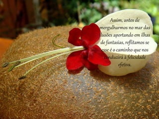 Assim, antes de
mergulharmos no mar das
ilusões aportando em ilhas
de fantasias, reflitamos se
esse é o caminho que nos
conduzirá à felicidade
efetiva.
 