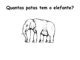 Quantas patas tem o elefante? 
