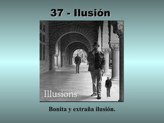 37 - Ilusión




Bonita y extraña ilusión.
 