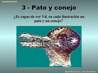 3 - Pato y conejo ¿Es capaz de ver Vd. en cada ilustración un pato y un conejo?   