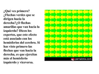¿Qué ves primero? ¿Flechas verdes que se dirigen hacia la derecha?¿O flechas amarillas que van hacia la izquierda? Dicen los expertos, que este efecto está asociado con los hemisferios del cerebro. Si has visto primero las flechas que van hacia la derecha, es que ejercitas más el hemisferio izquierdo y viceversa. 