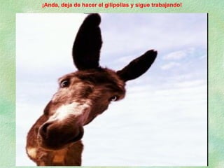 ¡Anda, deja de hacer el gilipollas y sigue trabajando!                                    