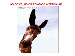 ASI SE VE, MEJOR PONGASE A TRABAJAR…                                      