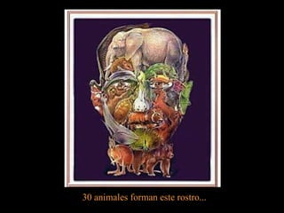30 animales forman este rostro...