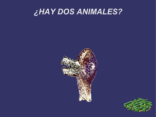 ¿HAY DOS ANIMALES? 