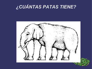 ¿CUÁNTAS PATAS TIENE? 