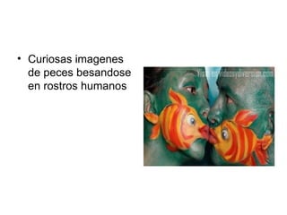 Curiosas imagenes de peces besandose en rostros humanos 