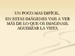 UN POCO MAS DIFÍCIL.  EN ESTAS IMÁGENES VAIS A VER MÁS DE LO QUE OS IMAGINAIS. AGUDIZAR LA VISTA 