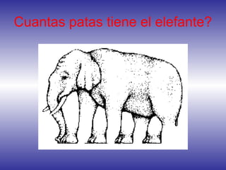 Cuantas patas tiene el elefante?
